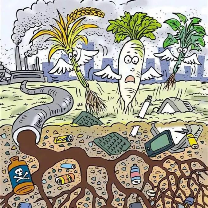 垃圾不分類的危害你了解嗎？